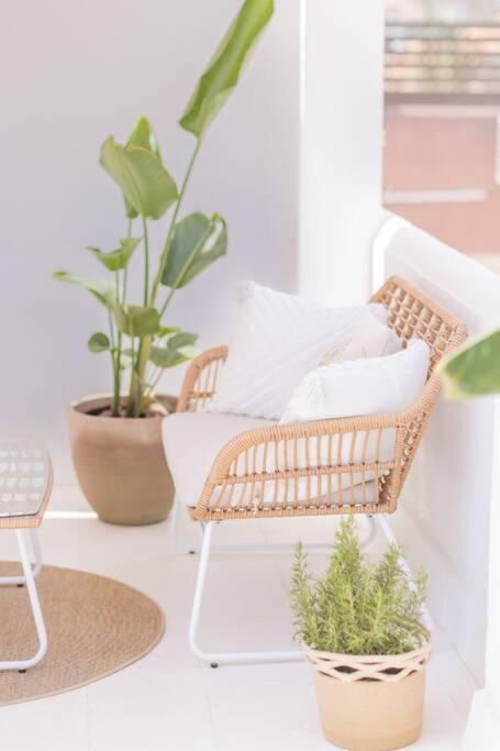 Downtown Flat With 46 Sqm Private Rooftop Terrace Malaga Exterior photo